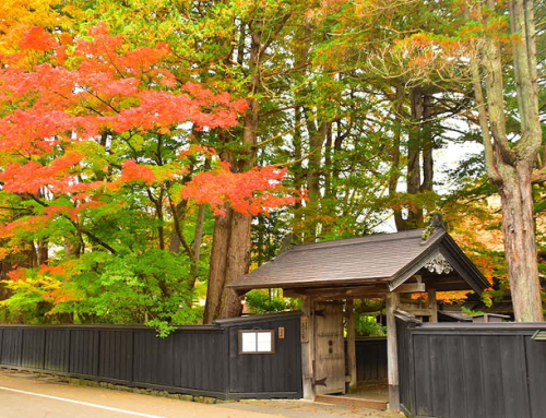 Encantos do Norte do Japão Outono 2026